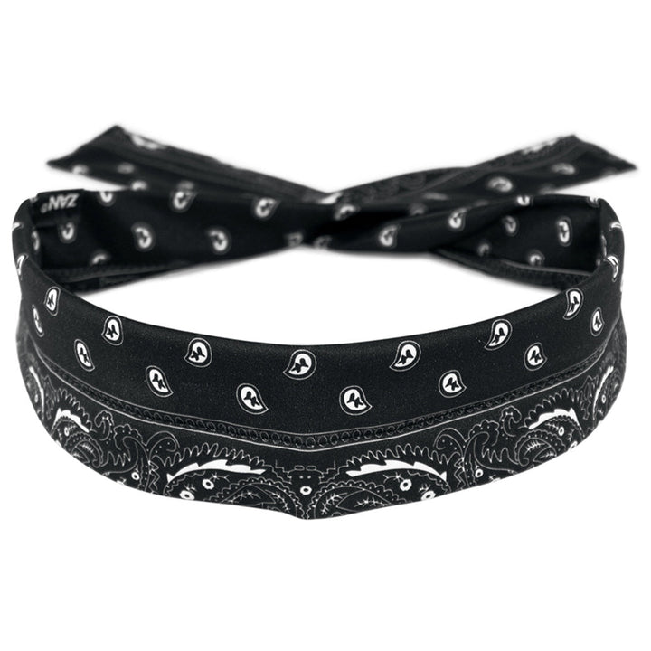 DP11 CooldannaÂ® Polyester, Black Paisley