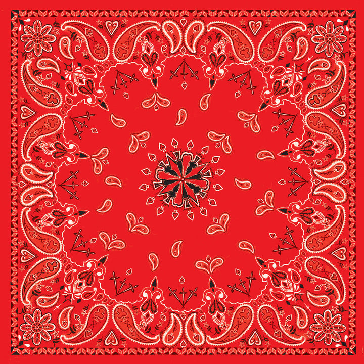 B3- Bandanna Red Paisley